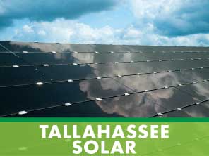 tallahassee solar